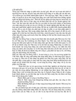 Thực trạng hoạt động trong những năm gần đây của Công ty liên doanh bia Đông Nam á