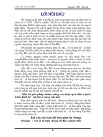 Một số Giải pháp nhằm nâng cao hiệu quả đầu tư phát triển kinh tế - xã hội ở vùng Tây Bắc