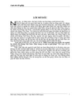 Đầu tư trực tiếp nước ngoài vào ngành bưu chính viễn thông Việt Nam - Thực trạng và giải pháp