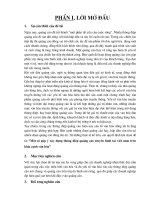 Một số góp ý xây dựng thông điệp quảng cáo truyền hình tại Việt Nam trên khía cạnh văn hóa