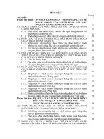 Hoàn thiện pháp luật về trách nhiệm của người đứng đầu các cơ quan hành chính nhà nước Việt Nam hiện nay - vấn đề và giải pháp