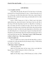 Bán hàng ở Công ty TNHH Thương mại và Dịch vụ Thành Long - Thực trạng và giải pháp