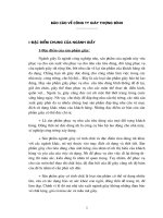 Báo cáo thực tập tổng hợp về Công ty giày Thượng Đình.doc