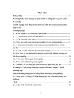 Một số giải pháp nhằm nâng cao năng lực cạnh tranh của Công ty TNHH thương mại sản xuất màng mỏng bao bì Dũng Bình trên thị trường nội địa