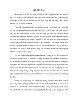 Xây dựng mô hình lợi nhuận tại công ty Maxvitra