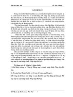 Tổ chức công tác kế toán bán hàng và xác định kết quả bán hàng tại Công ty Thương mại và Xuất nhập khẩu Tổng hợp Hà Nội