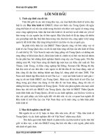 Tổng quan về các Khu kinh tế tự do