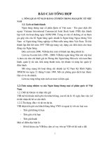 Báo cáo tổng hợp về Ngân hàng thương mại cổ phần quốc tế Việt Nam.doc