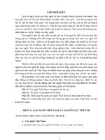 Sự tác động của con người Việt Nam vào nền kinh tế tri thức