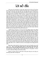 Một số biện pháp nhằm nâng cao khả năng cạnh tranh mặt hàng dệt may trong hoạt động kinh doanh của các doanh nghiệp việt nam