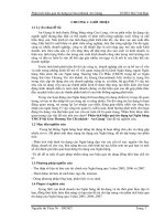 Phân tích hiệu quả tín dụng tại Ngân hàng TMCP Sài Gòn Thương Tín Chi nhánh - An Giang phần 1