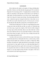 Giải pháp huy động vốn đầu tư cho ngành y tế tỉnh Hà Tây từ nay đến năm 2010