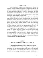 Quản lý phân tích chi phí sản xuất và tính giá thành sản phẩm ở Công ty sản xuất - xuất nhập khẩu Đầu tư.doc