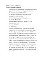 Thực trạng phát triển thị trường tiêu thụ sản phẩm tại công ty Việt Thành