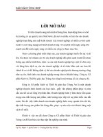 Báo cáo tổng hợp tại Công ty cổ phần sách và thiết bị giáo dục Tràng An