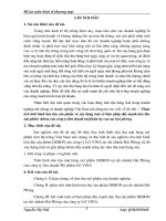 phân tích tình hình tiêu thụ sản phẩm và xây dựng 1 số biện pháp đẩy mạnh tiêu thụ sản phẩm debon của công ty  liên doanh mĩ phẩm lg-vna tại hải phòng