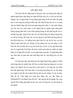 Giải pháp mở rộng hoạt động cho vay tiêu dùng tại Ngân hàng Nông nghiệp và Phát triển nông thôn chi nhánh Nam Hà Nội