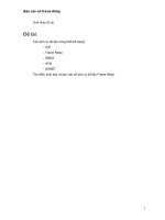 Báo cáo về dịch dữ liệu Frame Relay