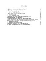 Bàn về một vài giải pháp nhằm mở rộng thị trường tiêu thụ xe ô tô ở c.doc