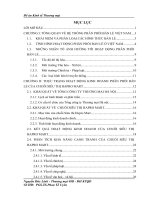 Một số giải pháp phát triển chuỗi hệ thống bán lẻ của Tổng công ty Thương mại Hà nội - Hapro mart