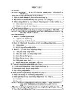 Các giải pháp nhằm đẩy mạnh hoạt động tại Công ty Thương mại Tư vấn và Đầu tư