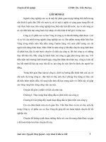 Giải pháp đẩy mạnh hoạt động đầu tư phát triển của công ty cổ phần cao su Sao Vàng