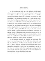 Hiện trạng suy thoái và bảo vệ rừng