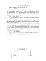 Báo cáo thực tập tổng hợp về công ty cổ phần Việt Hóa.doc