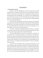 Một số giải pháp nâng cao hiệu quả kinh doanh nhập khẩu của Trung tâm thương mại và xuất nhập khẩu thiết bị thủy - Công ty tư vấn đầu tư và thương mại