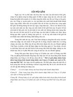 Đầu tư nâng cao khả năng cạnh tranh của Công ty bánh kẹo Hài Châu