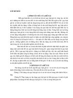 Thực trạng sự vận dụng quy luật giá trị thời gian qua và Một số Giải pháp nhằm vận dụng tốt hơn nữa quy luật giá trị ở nước ta trong thời gian tới
