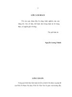 Thực trạng huy động vốn đầu tư xây dựng các công trình kết cấu hạ tầng kinh tế - xã hội tỉnh Bắc Ninh trong thời kỳ 1997-2005