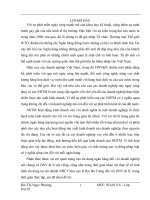 Nâng cao chất lượng tín dụng đối với doanh nghiệp vừa và nhỏ tại chi nhánh ngân hàng công thương khu vực II Hai Bà Trưng