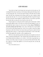 Báo cáo tổng hợp về công ty TNHH đầu tư sản xuất và thương mại Việt Trung