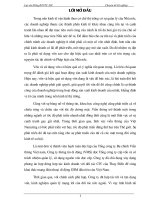 Giải pháp nâng cao hiệu quả sử dụng vốn tại Công ty thông tin di động VMS