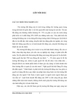 Một số giải pháp nhằm thúc đẩy hoạt động tiêu thụ sản phẩm ô tô lắp ráp ở Công ty Vidamco