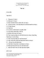 Thực trạng hoạt động sản xuất kinh doanh của công ty TNHH Quảng Cáo Thương Mại và Công Nghiệp Hà Nội