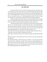 báo cáo kế toán tại nhà máy da giầy xuát khẩu hà nội