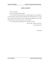 Góp phần hoàn thiện môi trường đầu tư nhằm đẩy mạnh hoạt động thu hút vốn đầu tư trực tiếp nước ngoài tại thành phố Hải Phòng