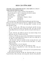 Báo cáo tại Cty xây lắp và vật tư xây dựng 5