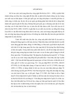 Việt Nam trong xu thế hội nhập và phát triển dưới con mắt triết học