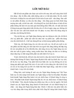 Giải pháp mở rộng cho vay tiêu dùng tại Ngân hàng No & PTNT huyện Cẩm Thuỷ