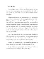 Giải pháp thu hút vốn đầu tư trực tiếp nước ngoài(FDI) vào Thành phố Đà Nẵng