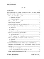 Định hướng và giải pháp tổng thể phát triển hệ thống cảng biển Việt Nam