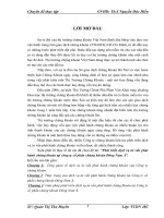 phát triển dịch vụ tư vấn pahst hành chứng khoán tại công ty cổ phần chứng khoán Đông nam á