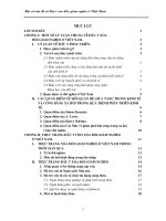 Một số vấn đề về đầu tư xóa đói, giảm nghèo ở Việt Nam