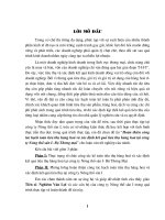 Hạch toán tiêu thụ hàng hóa & xác định kết quả tiêu thụ tại Cty Nông thổ sản 1- Bộ TM