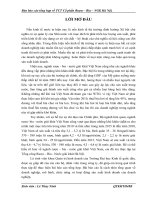 Báo cáo tổng quan về Cty TNHH Việt Mỹ.