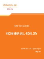 VMM Royal City - Presentation VIE 20.07.2012
