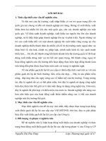 Thực trạng hoạt động XK gạch đá ốp lát cao cấp của Cty XK gạch đá ốp lát cao cấp VICOSTONE